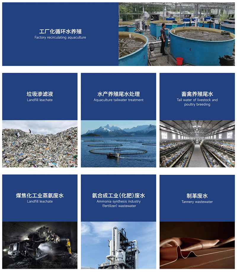 应用领域1.jpg